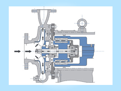 Seal Less Pump